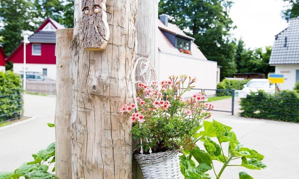 Sonnenblumenhaus 02 Apartment Prerow Bagian luar foto